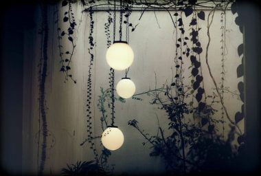 Oświetlenie ogrodu – od czego zacząć