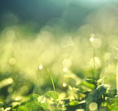 czy wciąż kupno działek jest opłacalne