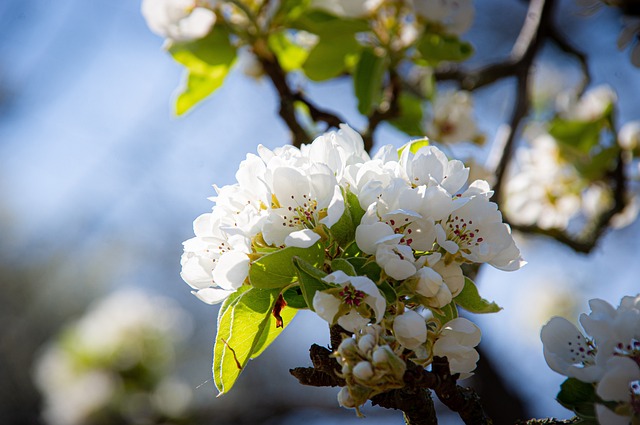 jak urządzić domek letniskowy